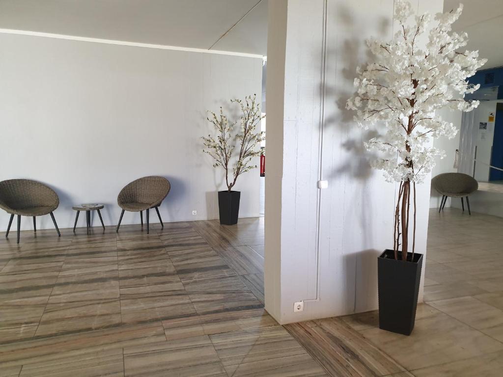 Tarik by Atlantichotels - AL room 5
